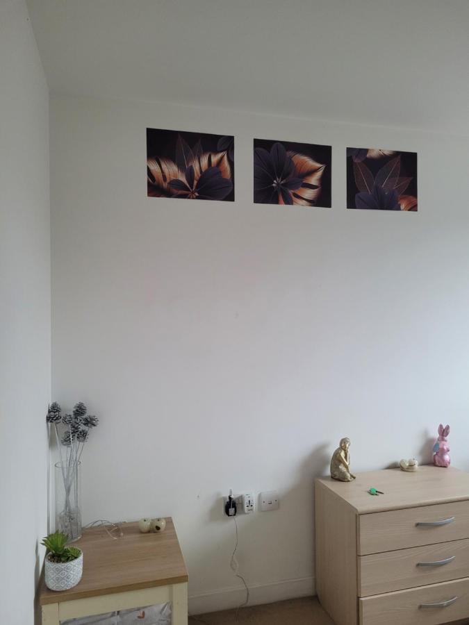 הית'רו Room Near Heathrow Airport מראה חיצוני תמונה